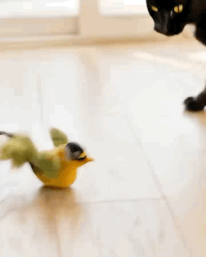 Wingman flapping bird cat toy in action