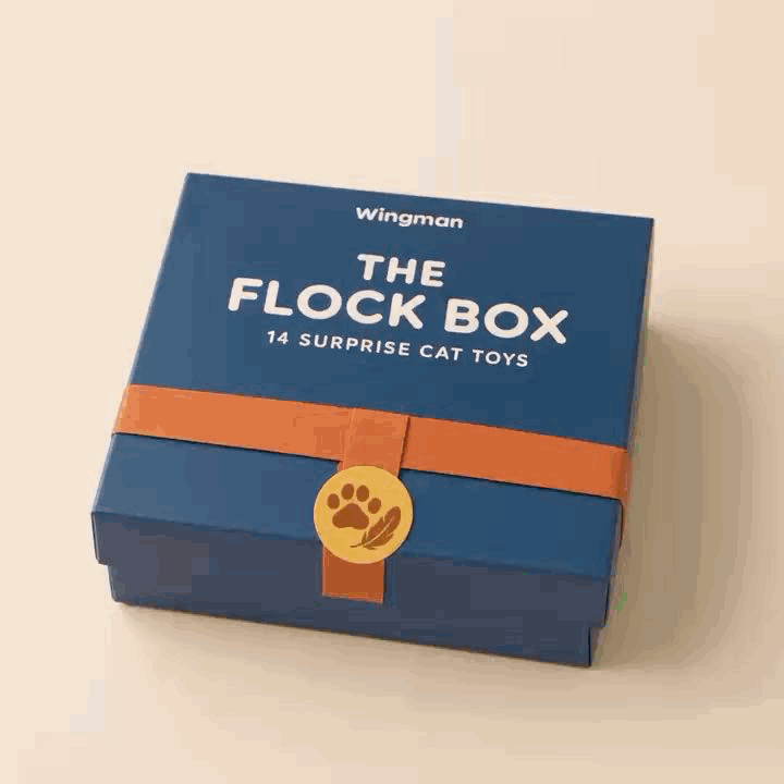 Wingman mystery cat toy box being opened