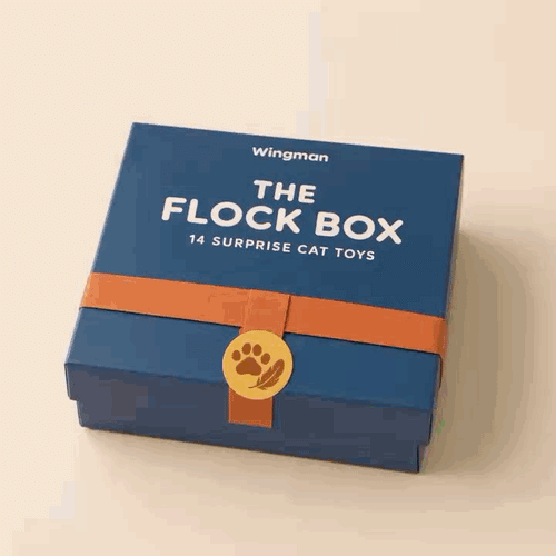 Wingman mystery cat toy box being opened