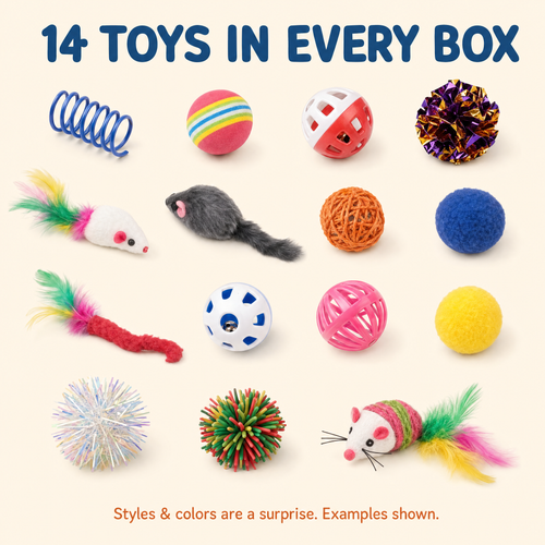 Assorted cat toys from the Wingman mystery toy box